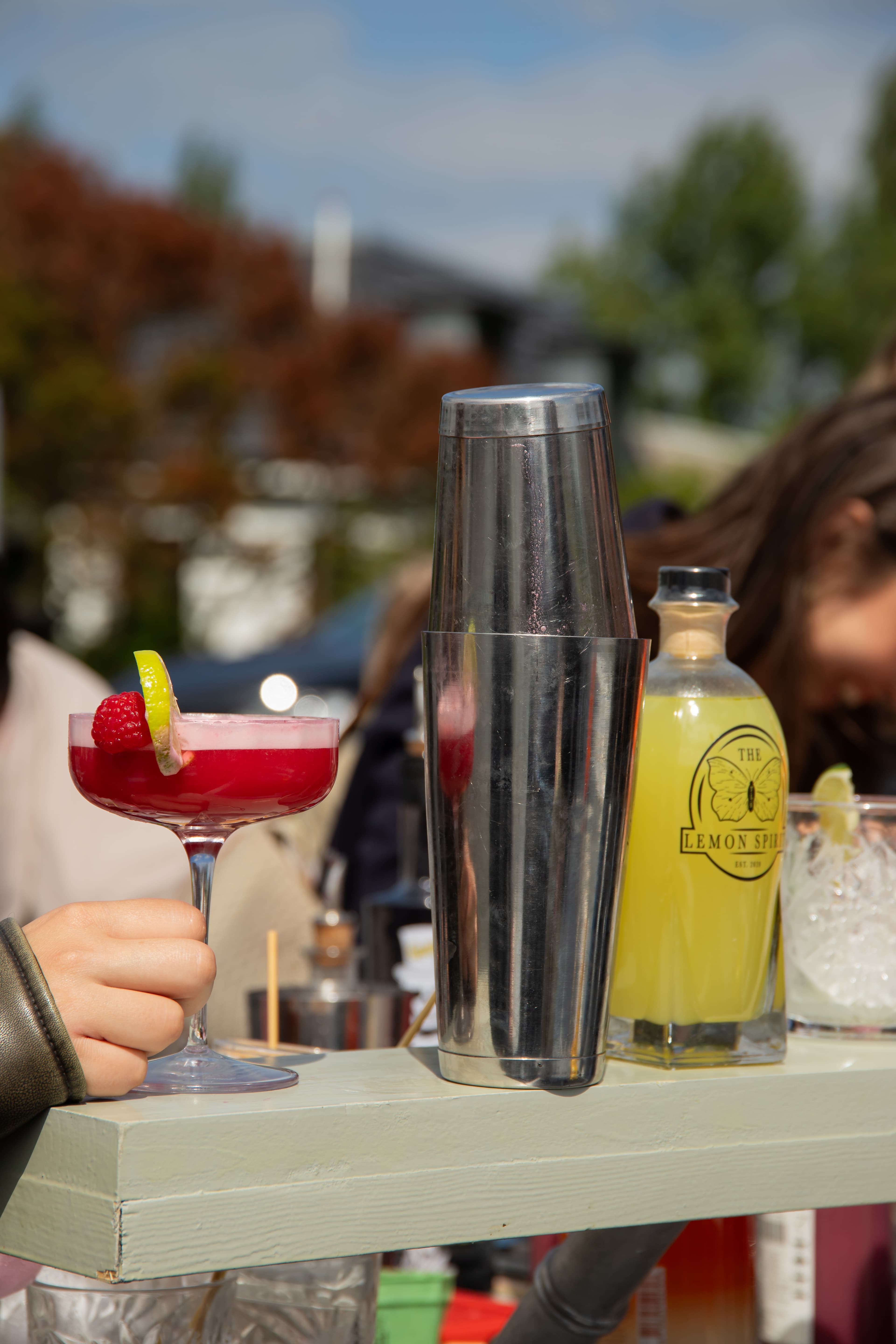 Cocktailworkshop aan boord - Foto 10